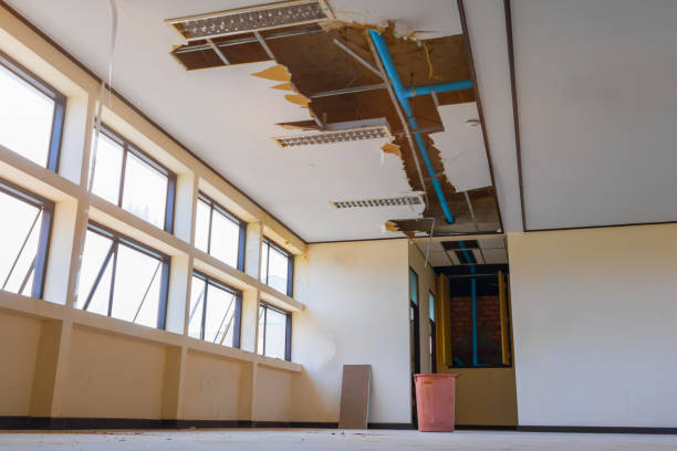 Best Local water damage restoration  in Jackson, MI