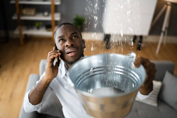Best Water damage cleanup near me  in Jackson, MI