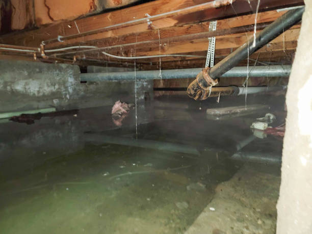 Best 24/7 water damage repair  in Jackson, MI