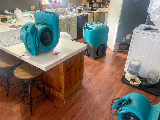  Jackson, MI Water damage restoration Pros