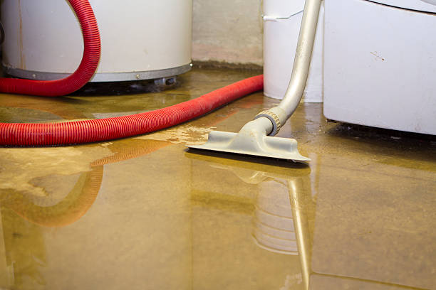 Best Residential water damage restoration  in Jackson, MI
