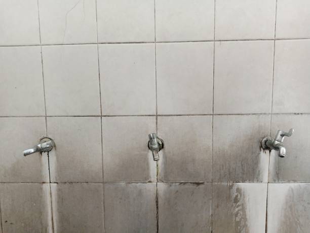 Best Basement water damage restoration  in Jackson, MI