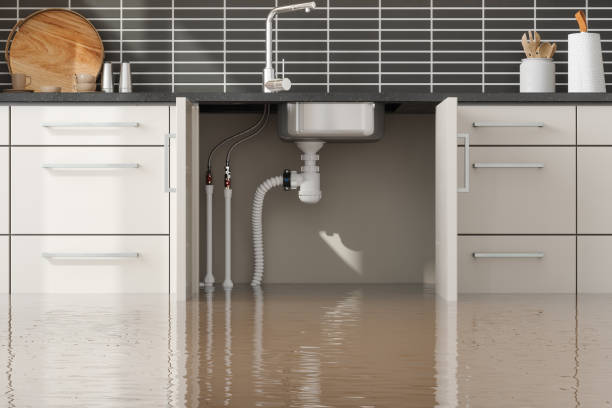 Best Sewage cleanup and water damage restoration  in Jackson, MI